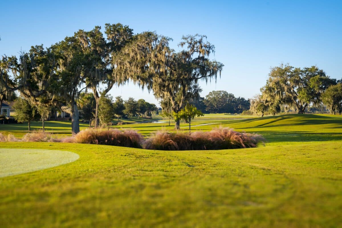 Sweetgum Executive Course