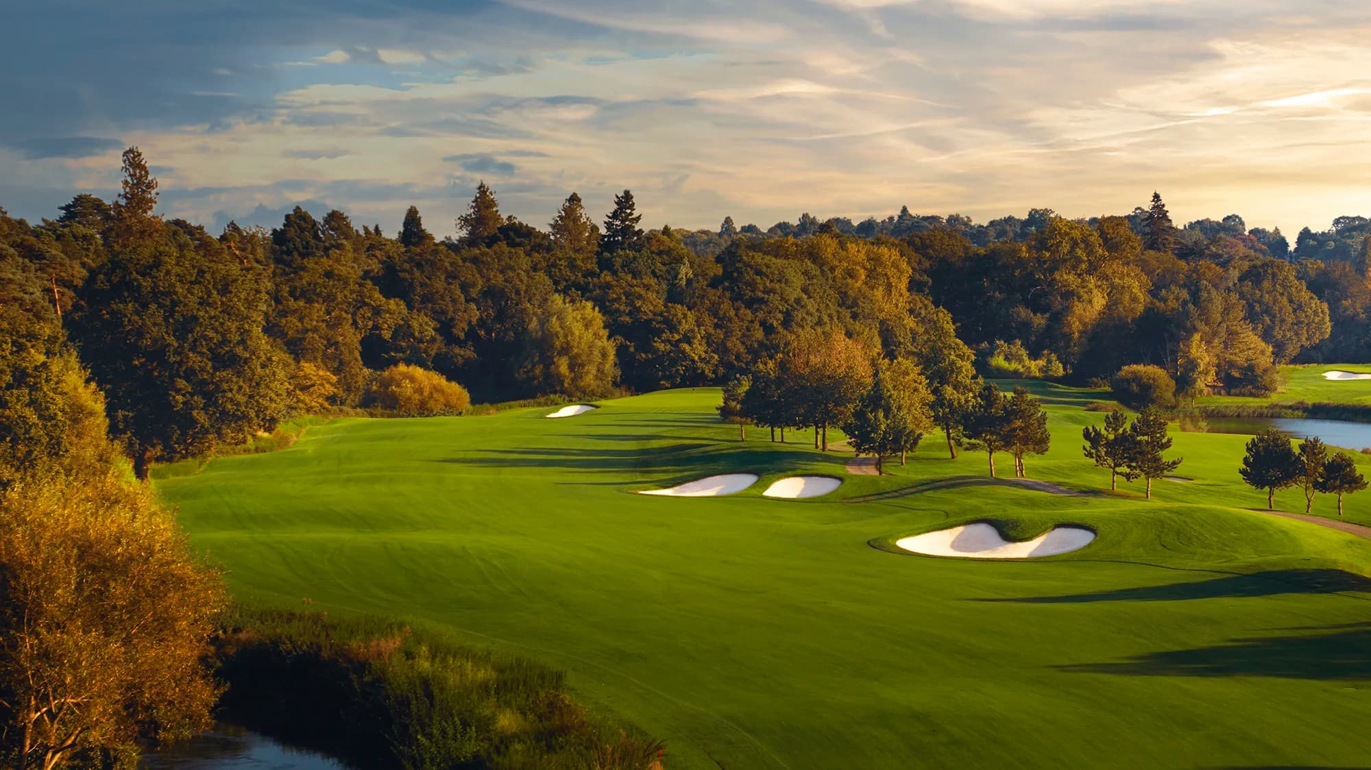 The Wisley