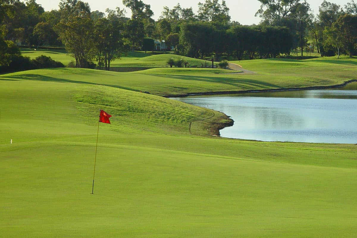 The Vines Golf and Country Club