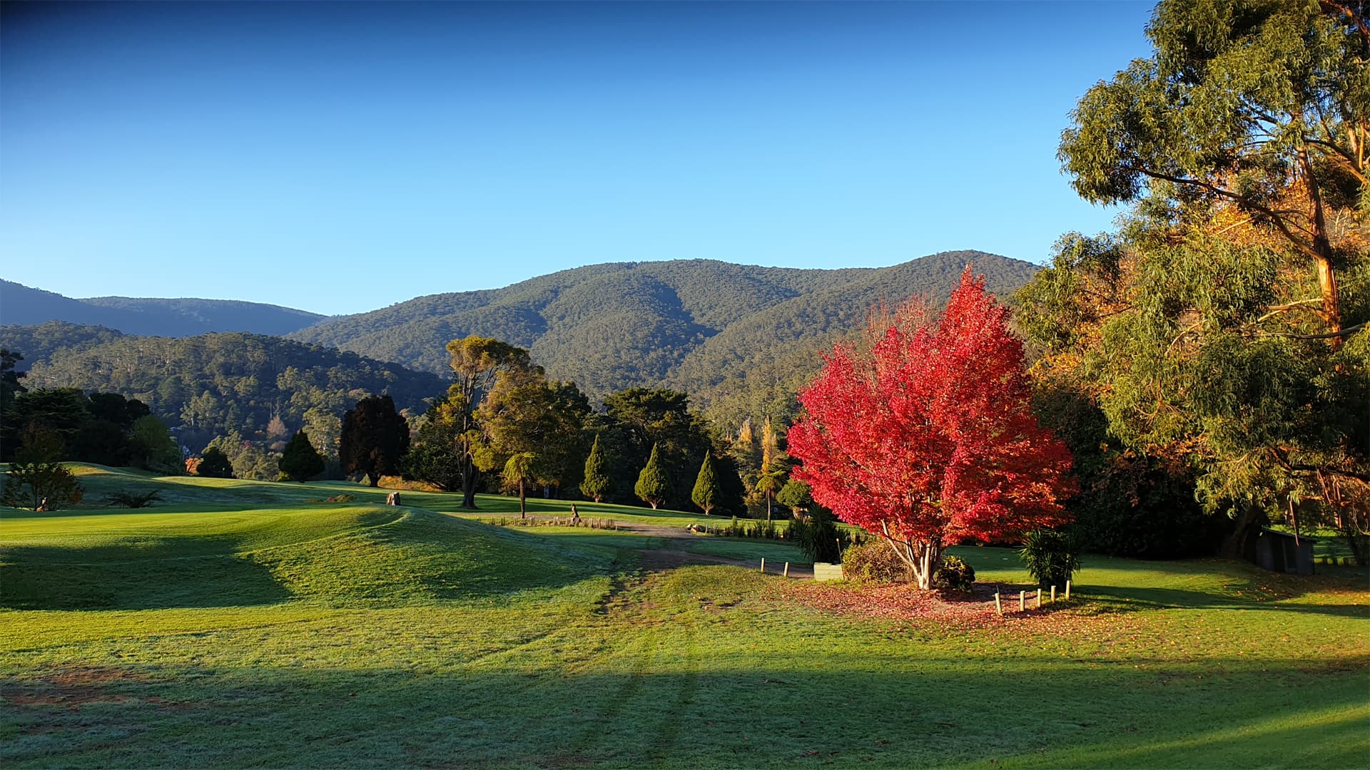 Warburton Golf and Sporting Club