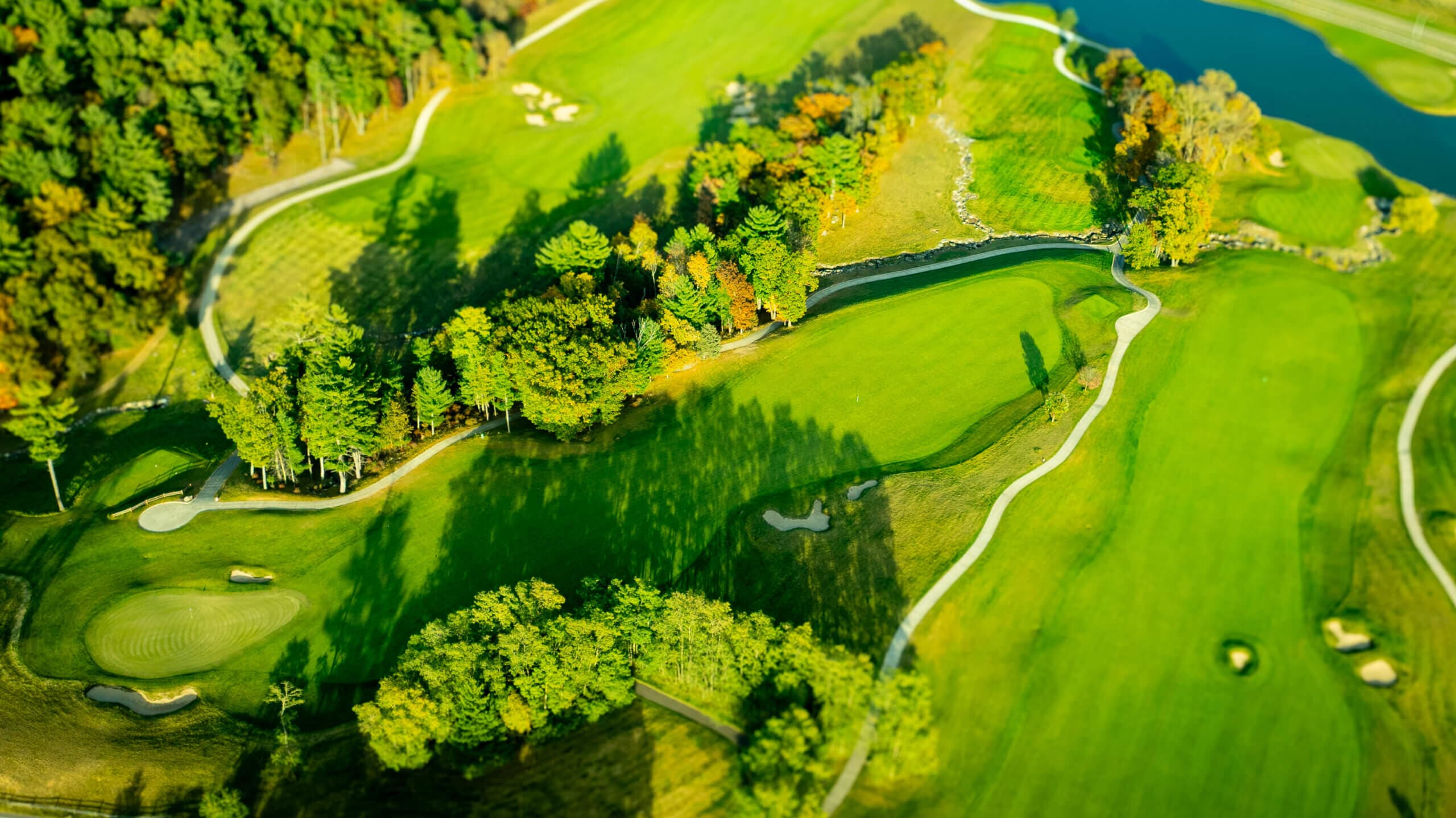 Wild Rock Golf Club at The Wilderness